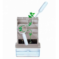 STEAM Labirinto de Plantas - comprar online