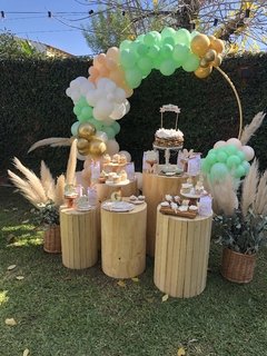 SERVICIO DE AMBIENTACION Y DECORACION CON GLOBOS en internet