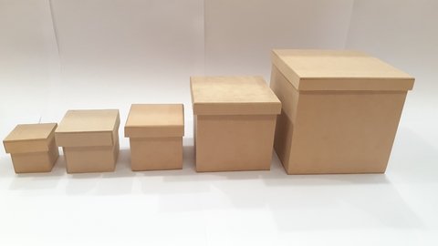 Cajas rectangulares - CAJA ZAPATOS 12X20X34 TELA