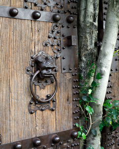 Imagen de Puertas Chinas del siglo XVII en madera y hierro
