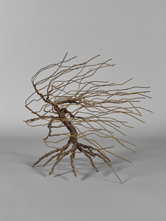Escultura de árbol en alambre color oxido diseño de Jesús Lillo
