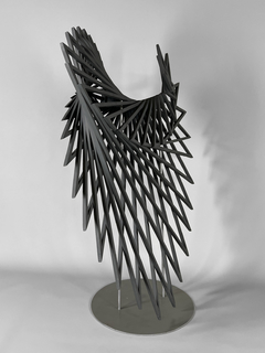 Obra águila Patagónica negra en internet