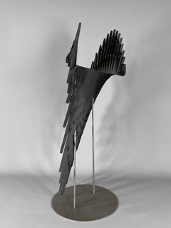 Obra águila Patagónica negra - Mayflower