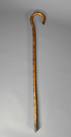 Bastón en madera de caña de bamboo con empuñadura curva