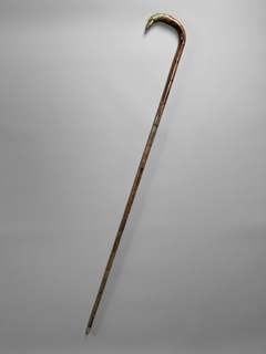 Bastón en caña de bamboo con empuñadura cabeza de águila en bronce