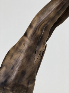 Escultura madera de E.Blaquier en internet