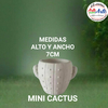 PIEZA CEMENTO 091 MINI CACTUS - 3 CUOTAS SIN INTERES - DESCUENTOS POR PAGO EFECTIVO, DEBITO Y CREDITO EN UN PAGO