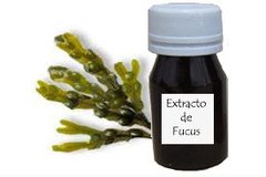 FUCUS EXTRACTO GLICOLICO 50 cc alga marina Fucus Reductor -Reduce gracitud