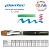 PINCEL PLANTEC PELO MARTA LEGITIMO CHATO SERIE 8120 No 4 - 3 CUOTAS SIN INTERES - DESCUENTOS POR PAGO EFECTIVO, DEBITO Y CREDITO EN UN PAGO