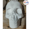 YESO SM645 Placa Media calavera - 15 cm