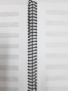 Cuaderno de musica A4 pentagramado 50h anillado - comprar online
