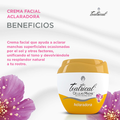 TEATRICAL Crema Facial Aclaradora X 200G - Farmacia y Perfumería Neuquén