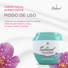 TEATRICAL crema Humectante x200g - tienda online