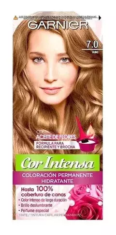 GARNIER COR INTENSA