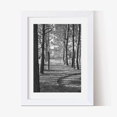 Bosque de Pinos (BW) (GWA00004) - Genoveva Wallart