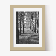 Bosque de Pinos (BW) (GWA00004) - comprar online