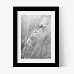 Espiga (BW) (GWA00027) - Genoveva Wallart