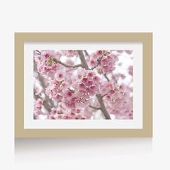 Sakura 2 (C) (GWA000102) - Genoveva Wallart