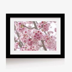 Sakura 2 (C) (GWA000102) - comprar online