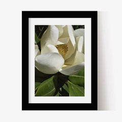 Magnolia cerrada (C) (GWA000105) - Genoveva Wallart