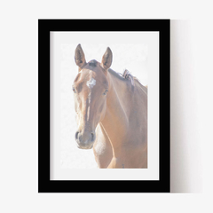 Retrato de un Caballo (C) - Genoveva Wallart