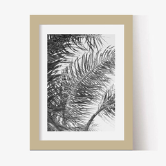 Hojas de Palmera (BW) - Genoveva Wallart