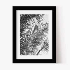 Hojas de Palmera (BW) - comprar online