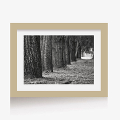 Túnel de Árboles (BW) (GWA00164) - Genoveva Wallart