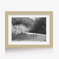 Dunas en blanco y negro (BW) (GWA00176) - comprar online