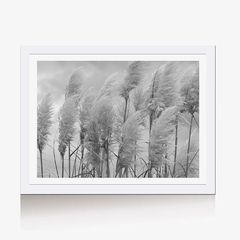 Plumeros al Viento (BW) - Genoveva Wallart