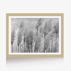 Plumeros al Viento (BW) - comprar online