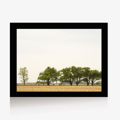 Paisaje de Campo (C) (GWA00195) - Genoveva Wallart