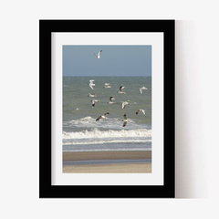 Gaviotas al vuelo (C) (GWA00233) - Genoveva Wallart