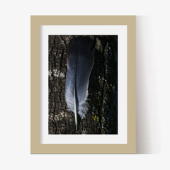 Pluma (C) (GWA00234) - comprar online