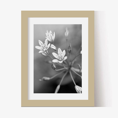 Flores Silvestres (BW) (GWA00026) - comprar online