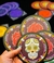 jogo de tabuleiro Skull - comprar online