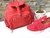 Mochila Red en internet