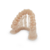 Imagen de Resina 3D Dental Sand