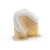 Imagen de Resina 3D Dental Clear Pro