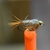 MOSCA GREY GULL NIMPH BEAD HEAD SOFT HACKLE HARE´S EAR - comprar online