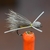 MOSCA GREY GULL SECAS MADAME X - comprar online