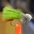 MOSCA GREY GULL STREAMERS MARABOU MUDDLER en internet