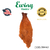 PLUMA HEN NECK EWING CUELLO DE GALLINA GRADO 1 - comprar online