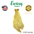 PLUMA HEN NECK EWING CUELLO DE GALLINA GRADO 1 en internet