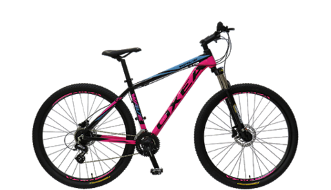 Bicicleta Wave R29 Oxea Tomaselli Bici Pesca Ventura