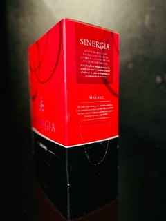 SINERGIA - comprar online