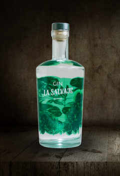 LA SALVAJE DEL LITORAL GIN