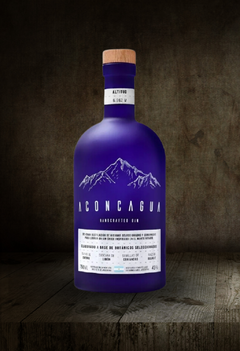 ACONCAGUA HANDCRAFTED GIN