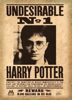 POSTER Harry Potter - comprar online