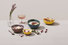 SET 4 BOWLS CEREAL BOTANIQUE LE CREUSET - loja online